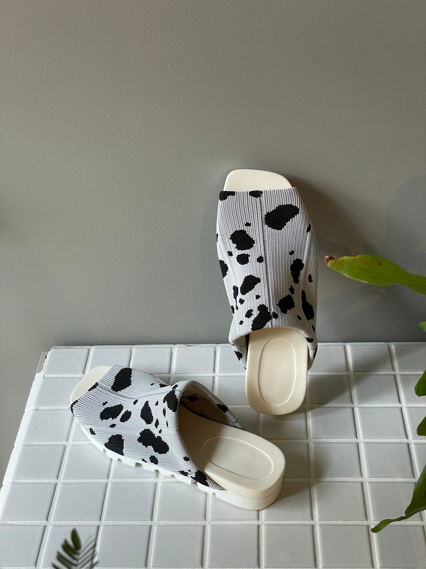 Flossy / Sandals / Dalmatian