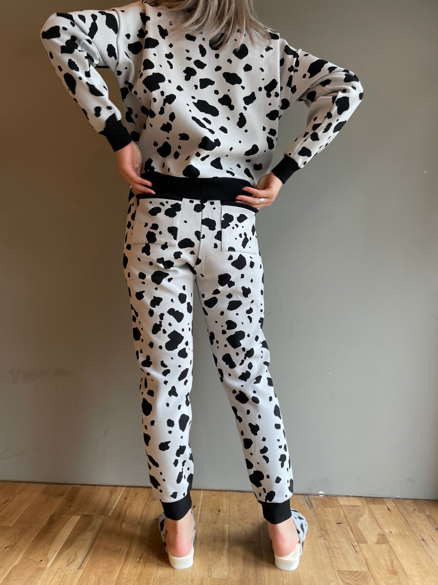 Flossy / Top / Dalmatian