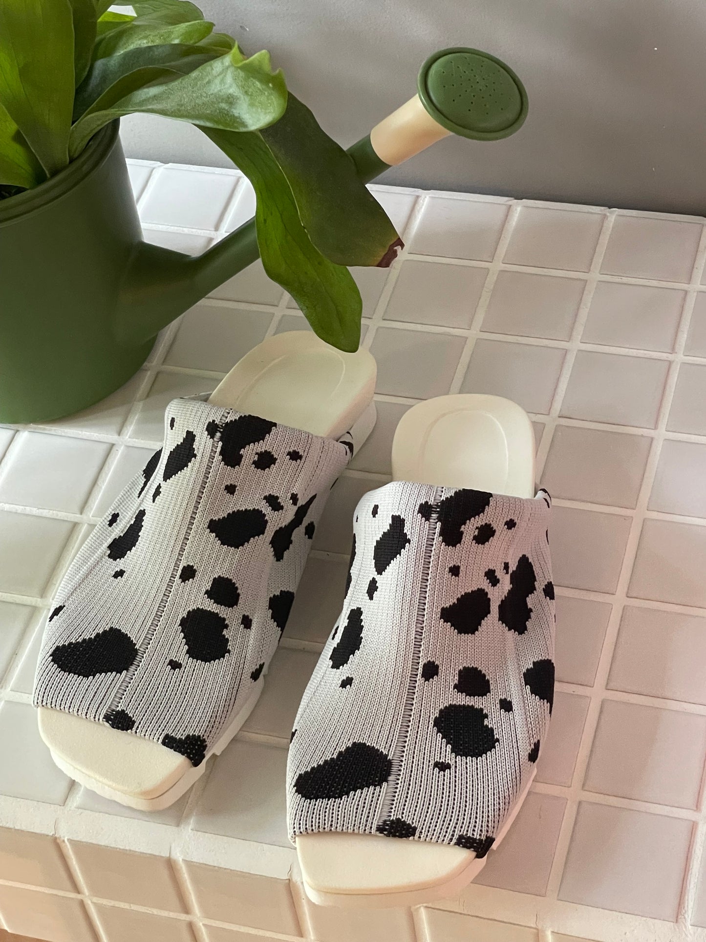 Flossy / Sandals / Dalmatian