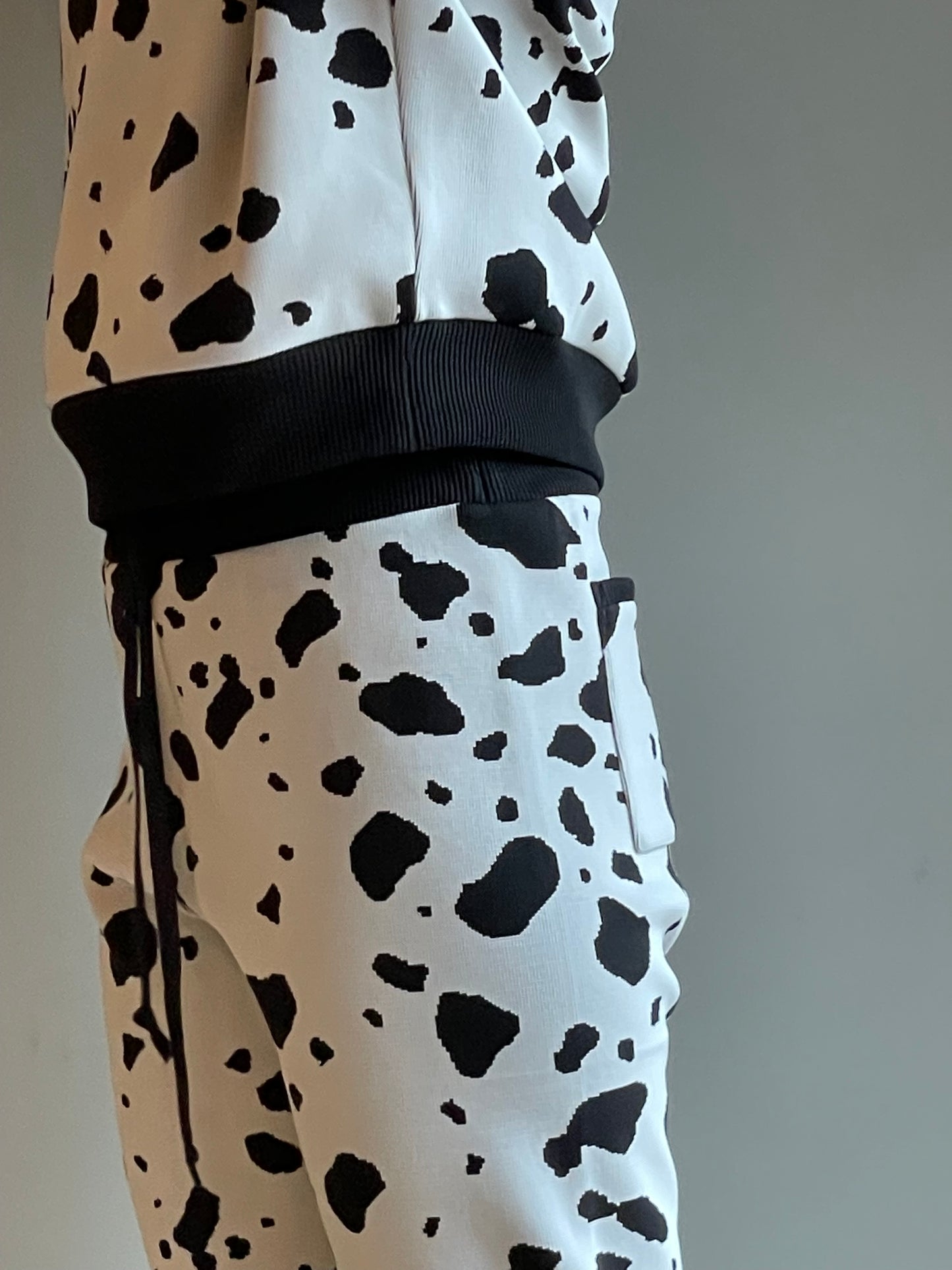 Flossy / Top / Dalmatian