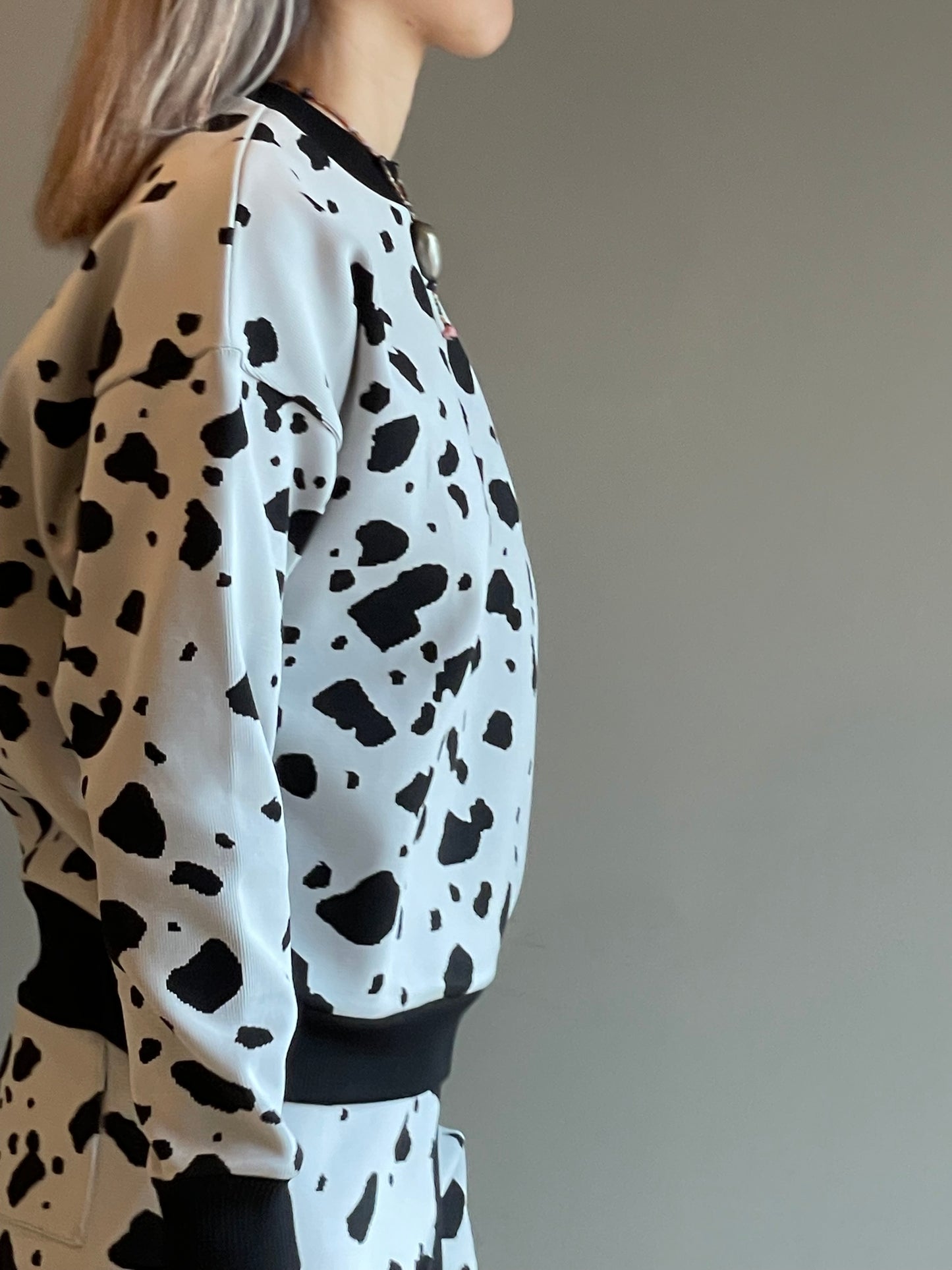 Flossy / Top / Dalmatian