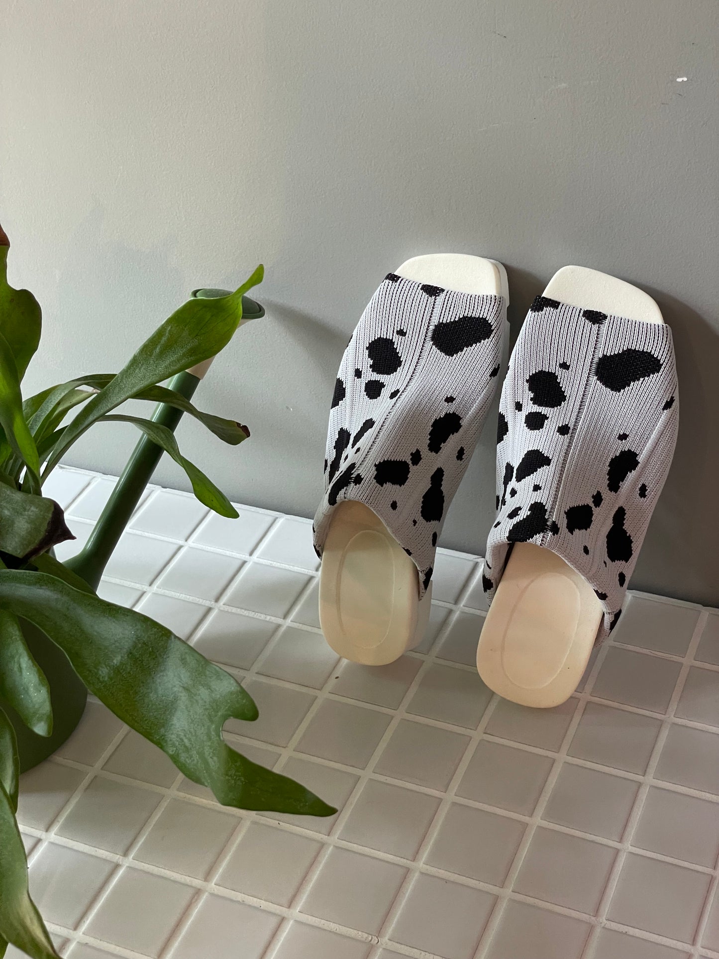 Flossy / Sandals / Dalmatian