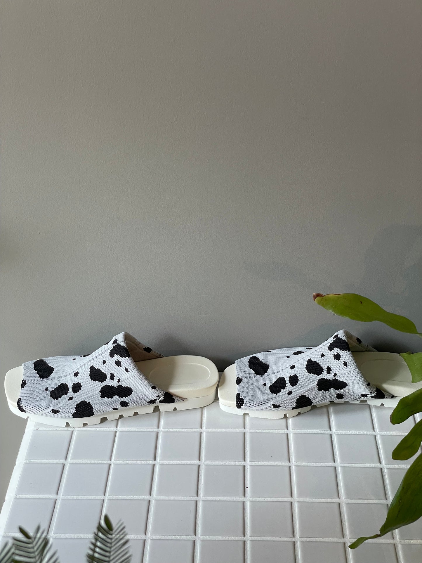 Flossy / Sandals / Dalmatian