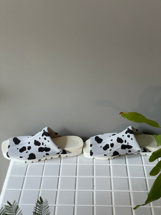 Flossy / Sandals / Dalmatian