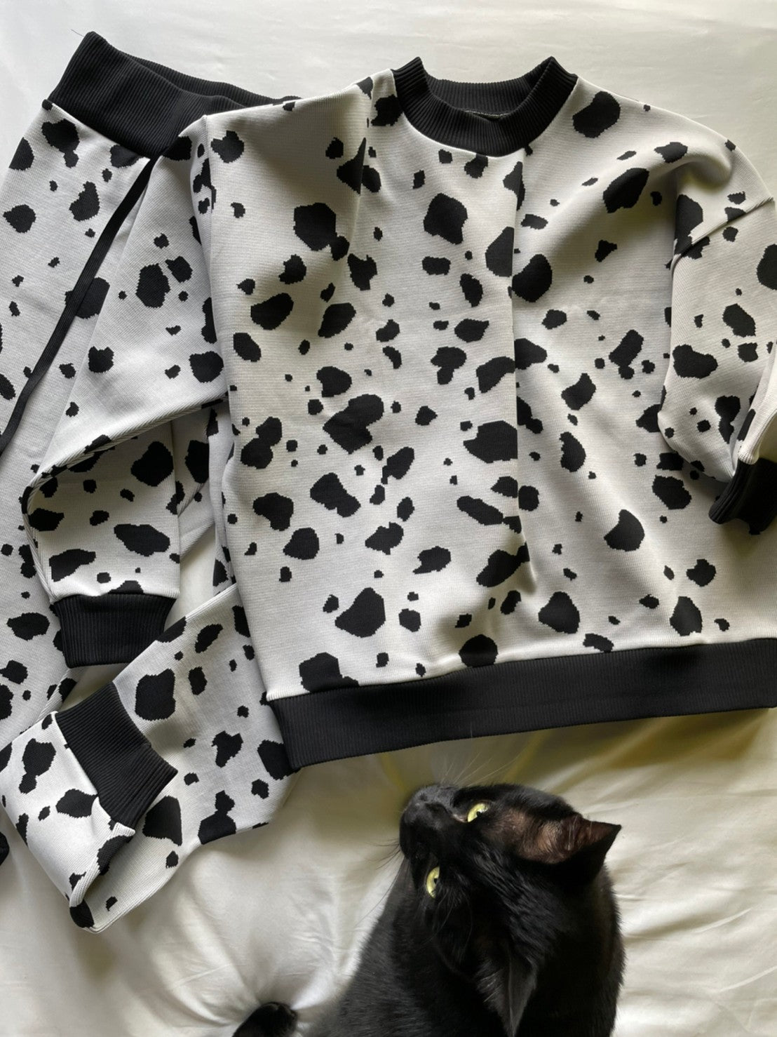 Flossy / Pants / Dalmatian