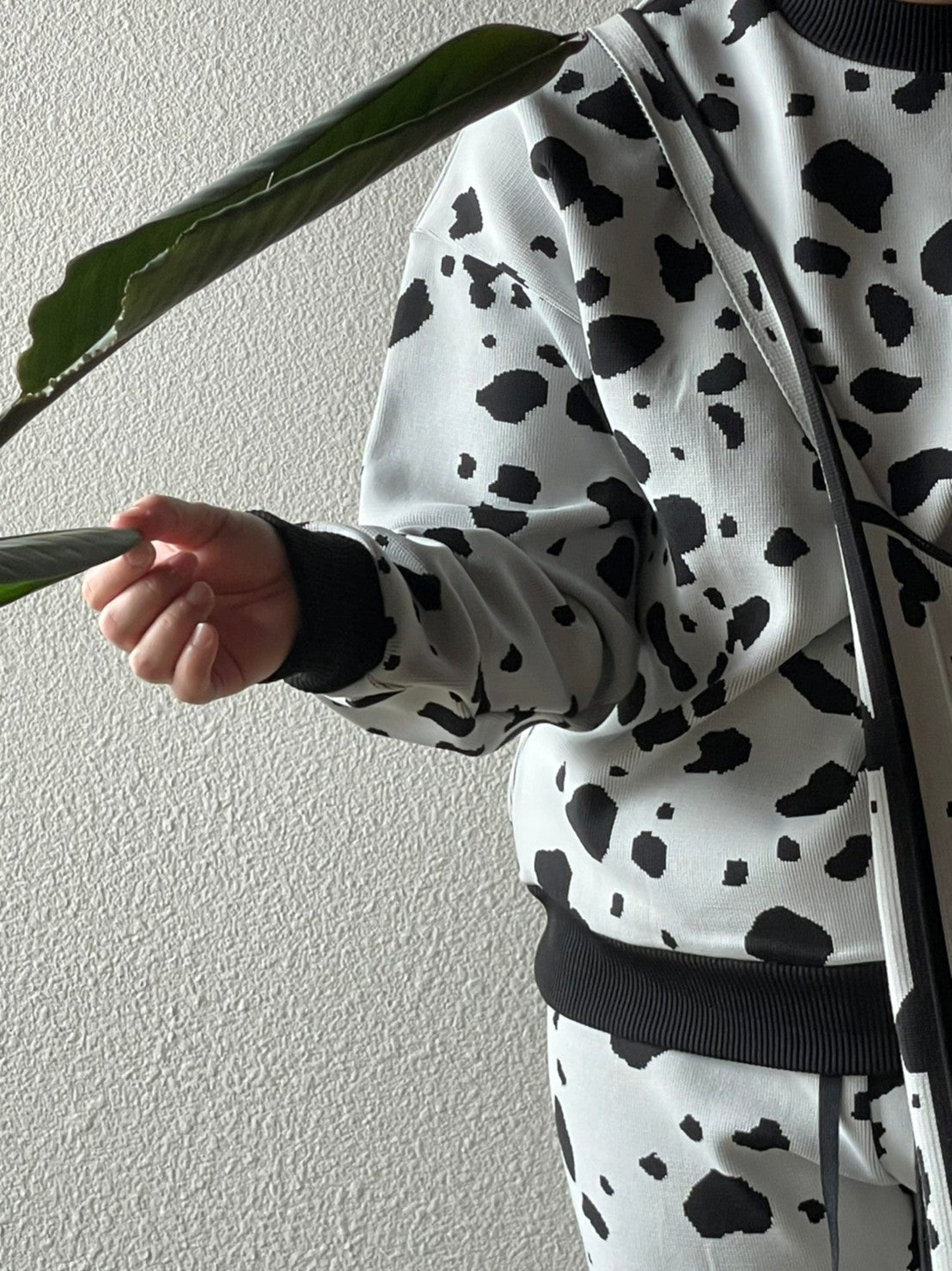 Flossy / Top / Dalmatian
