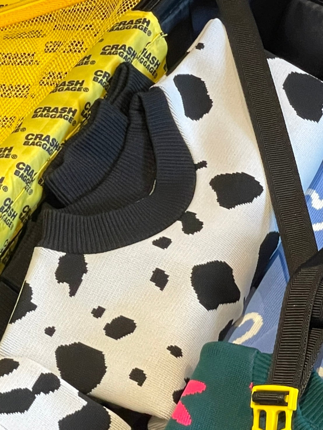 Flossy / Top / Dalmatian