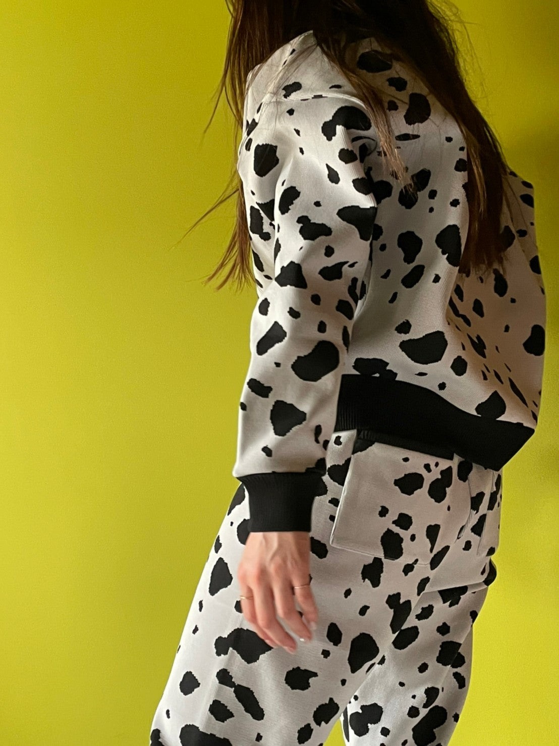 Flossy / Top / Dalmatian