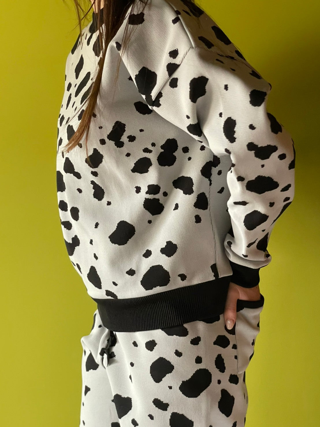 Flossy / Top / Dalmatian