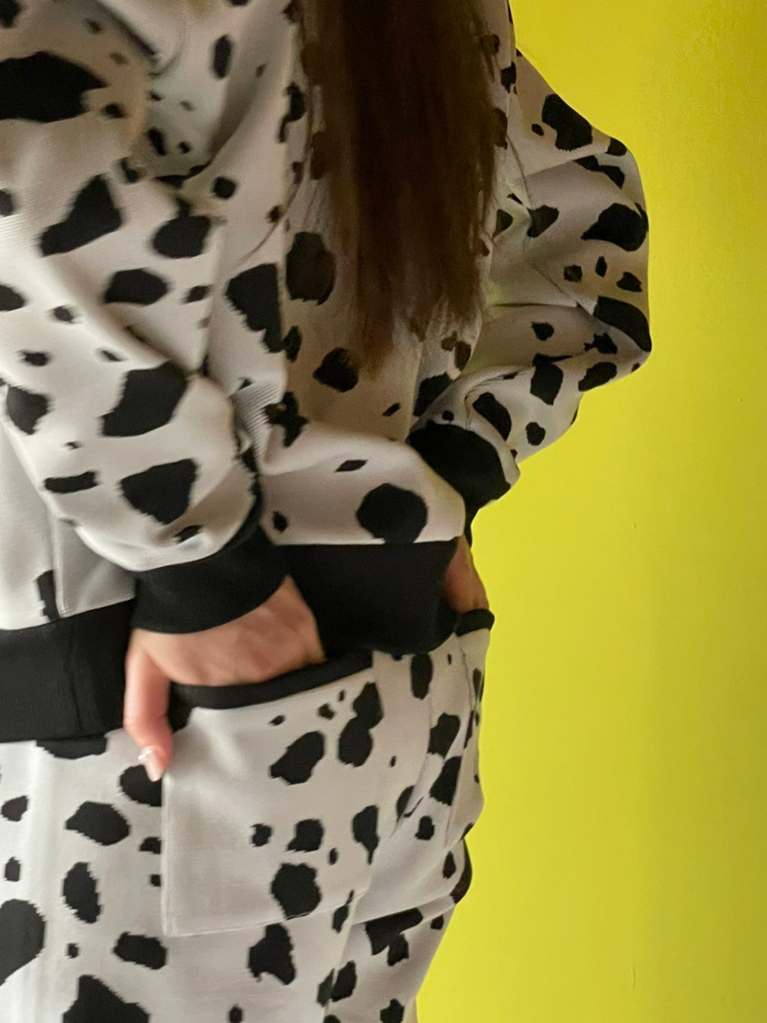 Flossy / Top / Dalmatian