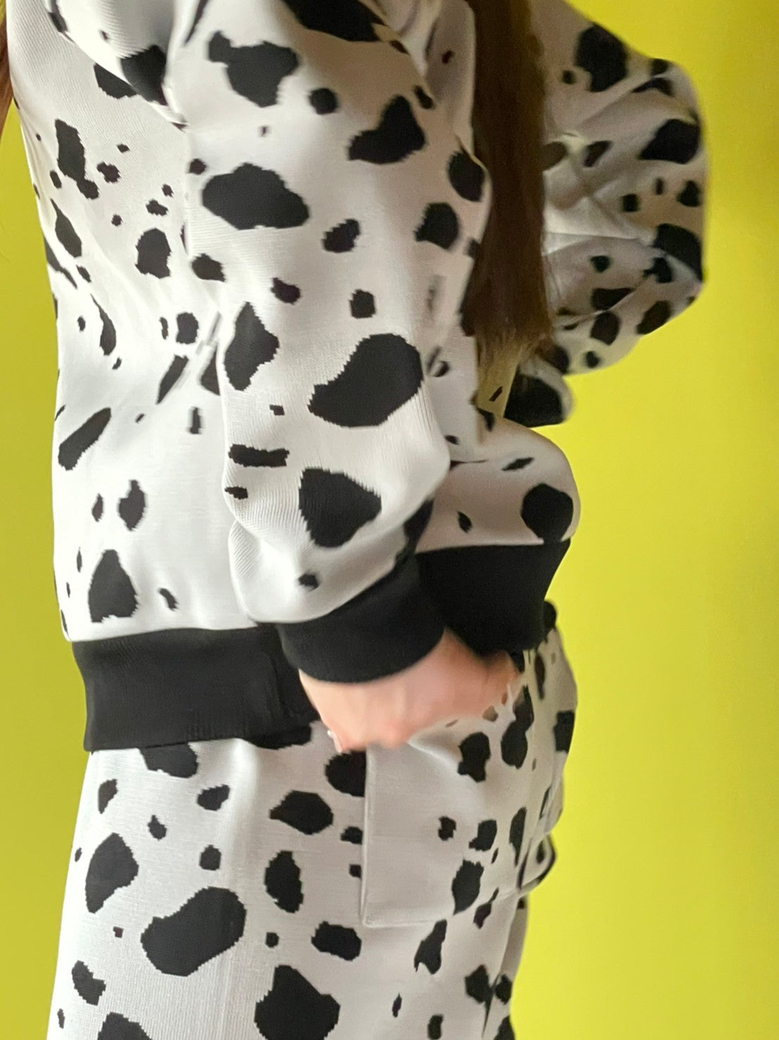 Flossy / Top / Dalmatian