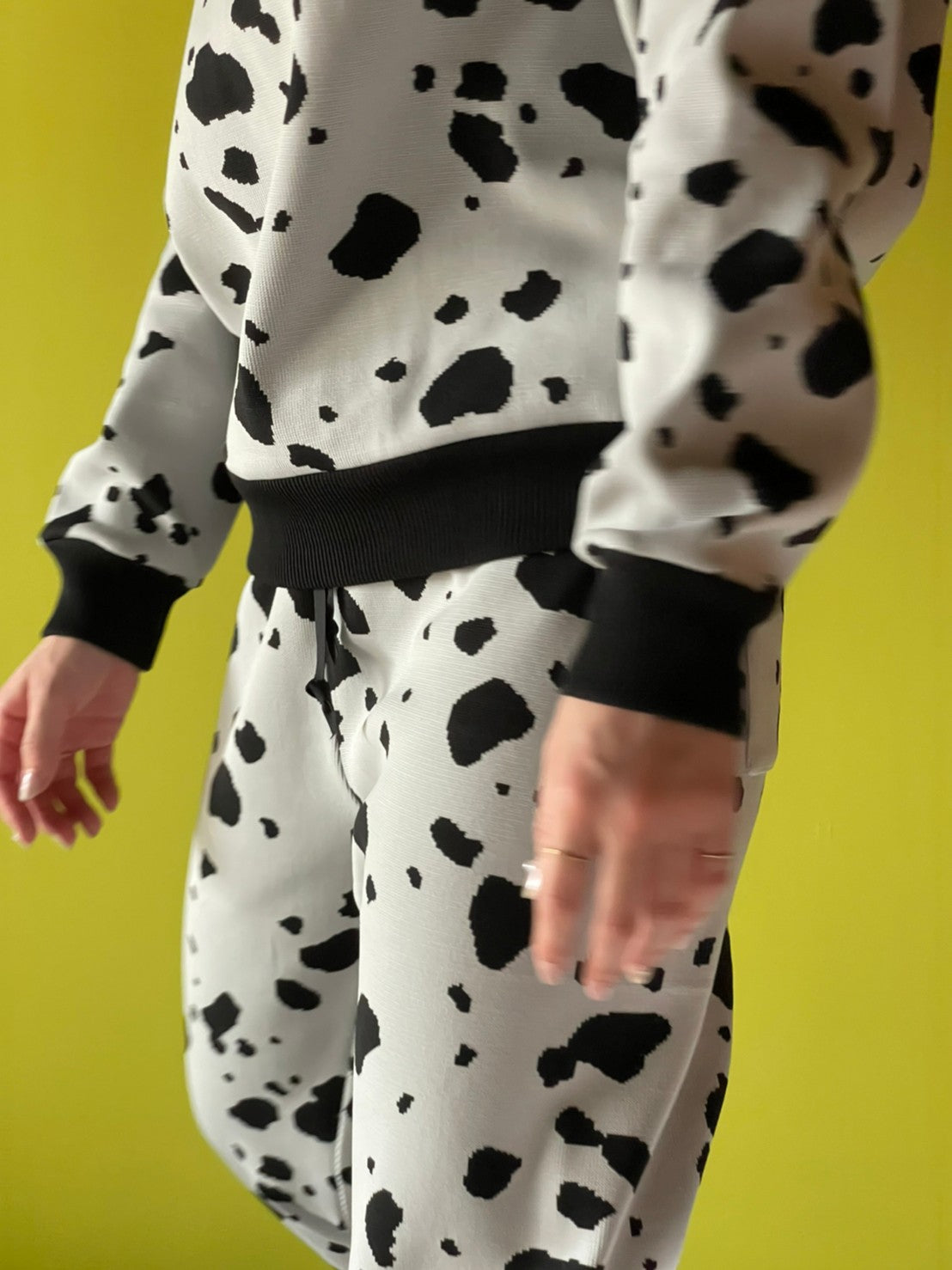 Flossy / Top / Dalmatian