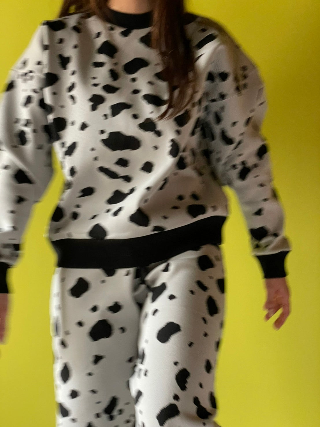 Flossy / Top / Dalmatian